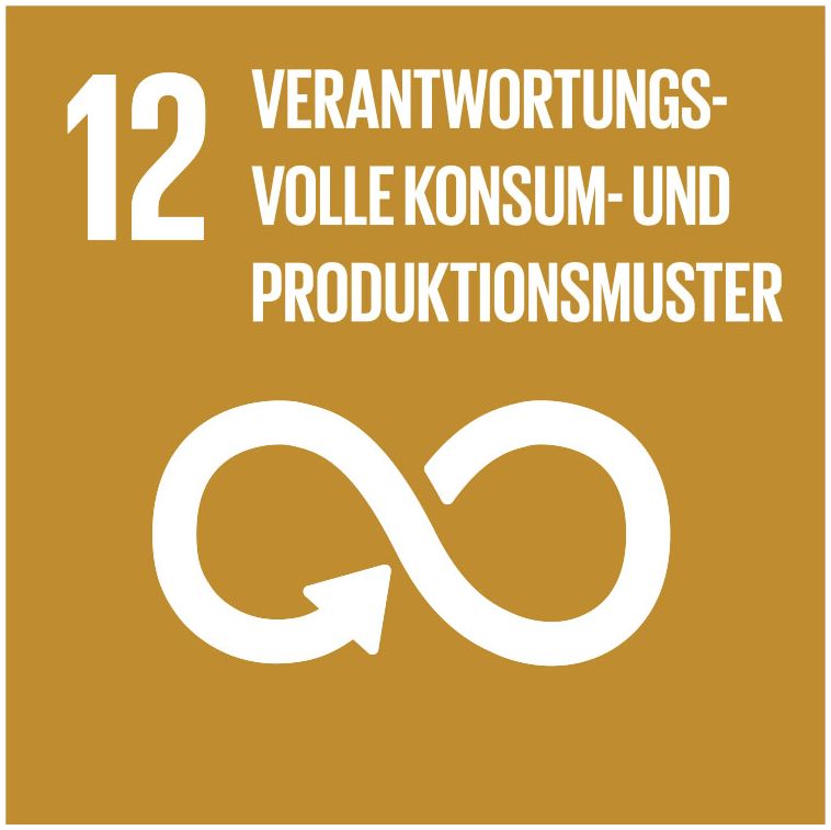 Icon SDG 12 Verantwortungsvolle Konsum- und Produktionsmuster