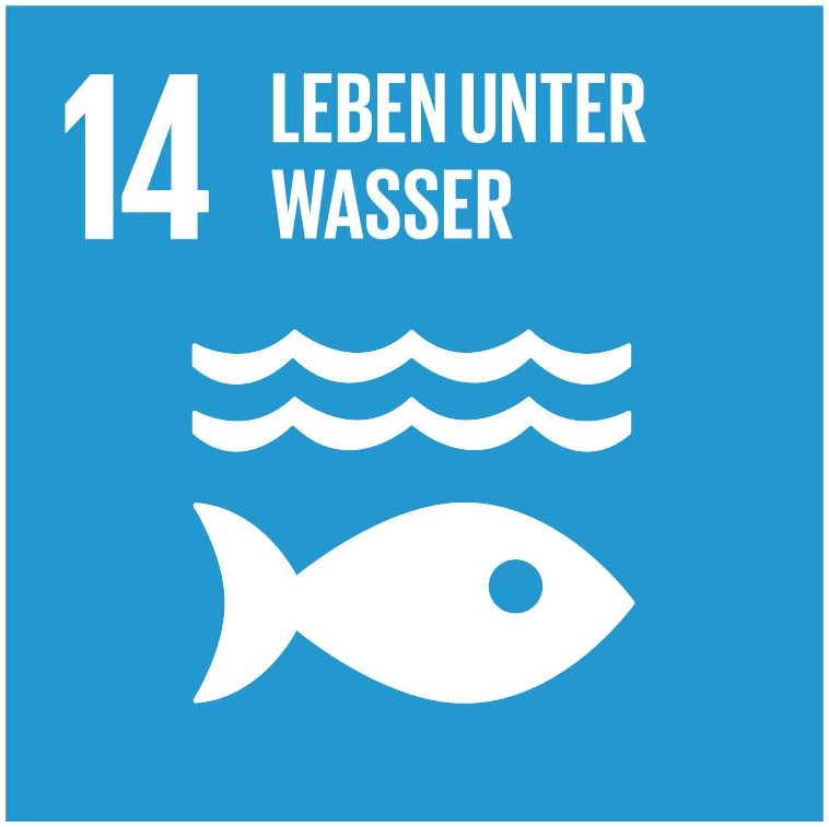 Icon SDG 14 Leben unter Wasser