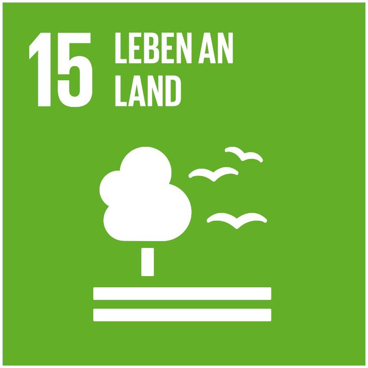 Icon SDG 15 Leben an Land