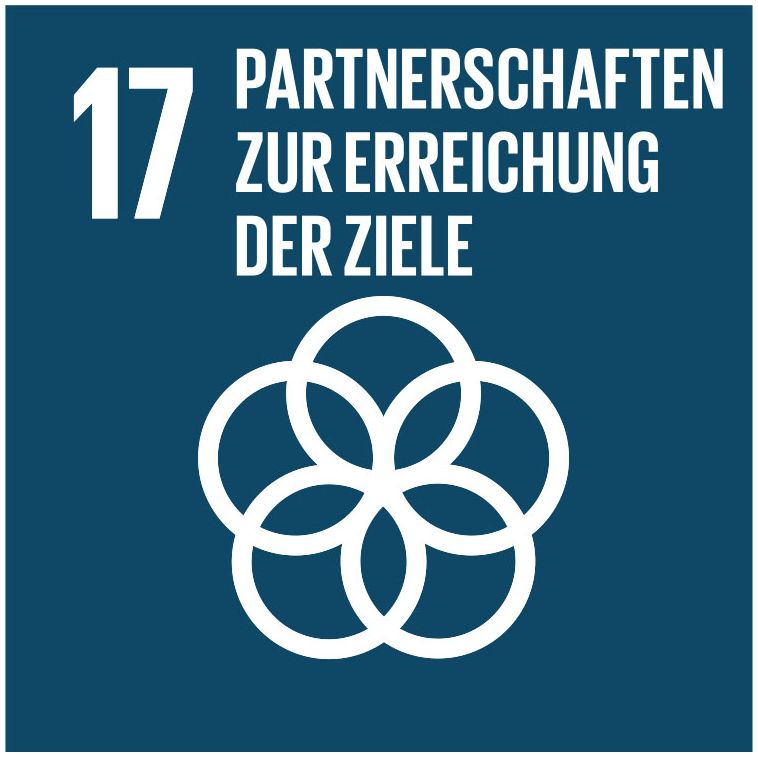 Icon SDG 17 Partnerschaften zur Erreichung der Ziele