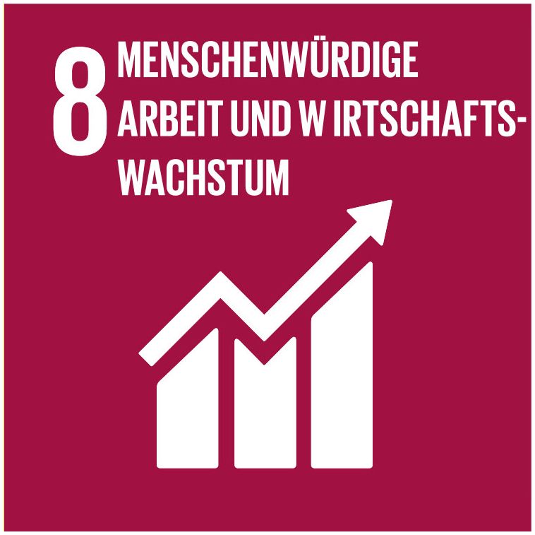 Icon SDG 8 Menschenwürdige Arbeit und Wirtschaftswachstum