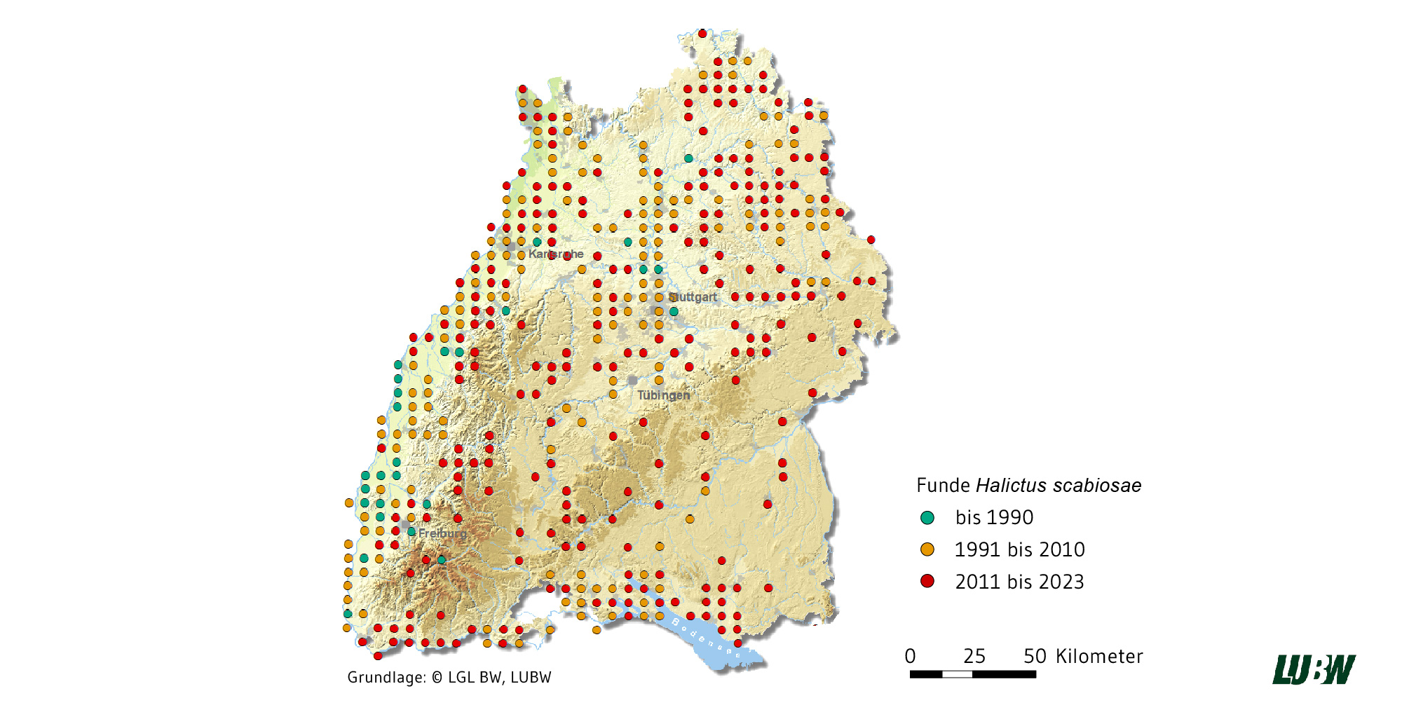 Die Abbildung zeigt eine Karte von Baden-Württemberg auf der mit farbigen Punkten die Verbreitung der Gelbbindigen Furchenbiene dargestellt ist. Während die Verbreitung bis 1990 vornehmlich entlang der Rheinebene lag, nahm die Verbreitung im Zeitraum 1991 bis 2010 deutlich zu und ist für den Zeitraum 2011 bis 2023 fast flächendeckend über ganz Baden-Württemberg.