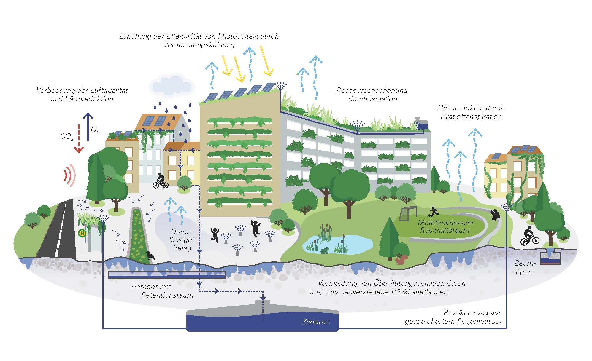 Informationsgrafik zu blau-grüner Infrastruktur. Zu sehen sind verschiedene Maßnahmen zur Klimaanpassung wie Dachbegrünung, Fassadenbegrünung, begrünte Haltstellen, Parks/Grünflächen im Quartier, Stadtbäume/Verschattung, Wasserflächen, Versickerungsmulden und multifunktionale Flächen, Wasserspiele, durchlässiger Bodenbelag, Tiefbeete mir Regenwasserzulauf, Baumrigolen, unterirdische Zisternen und die Bewässerung aus gespeichertem Regenwasser. 