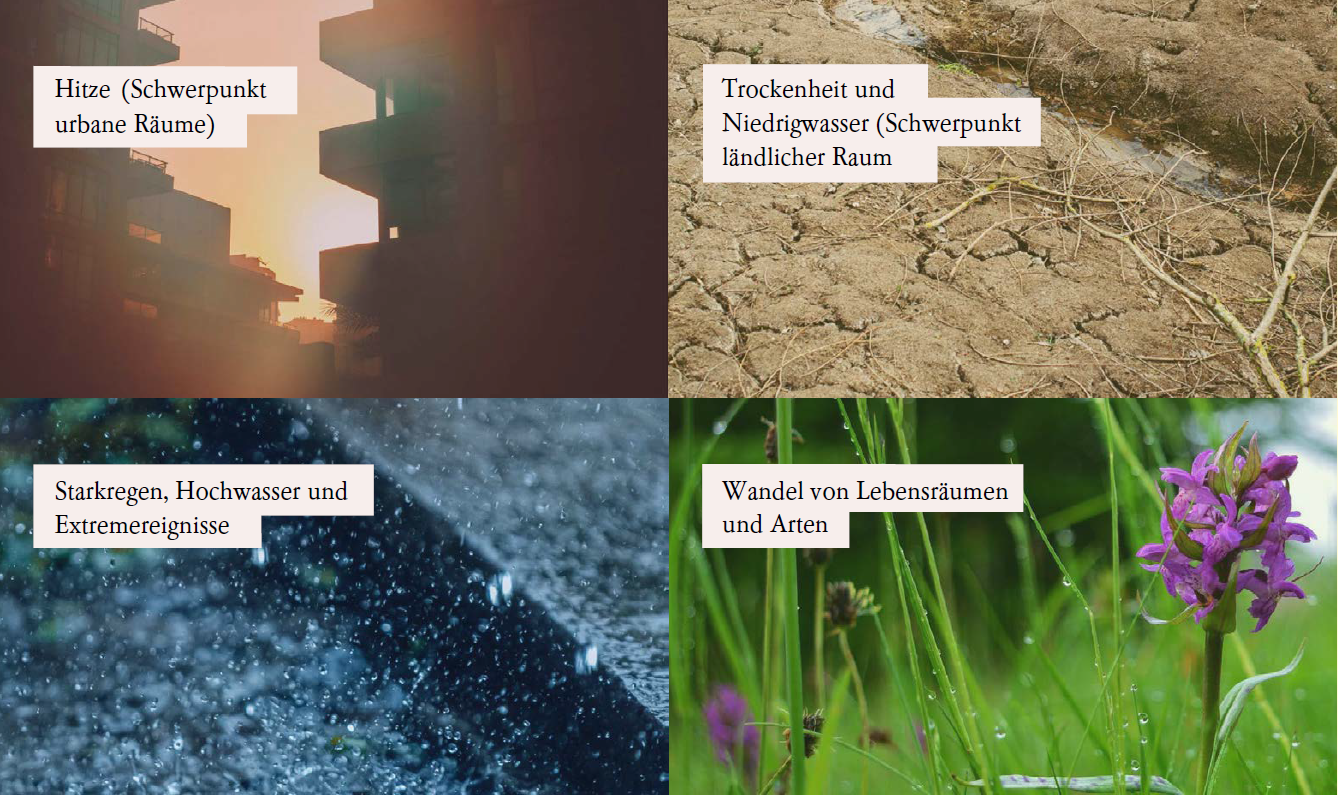 Vier Bilder zu den Klimawirkungen aus der Anpassungsstrategie Baden-Württemberg. Auf dem ersten Bild zum Thema Hitze scheint die Sonne zwischen zwei Häusern durch, auf dem zweiten Bild zum Thema Trockenheit und Niedrigwasser ist ein vertrockneter Boden zu sehen. Auf dem dritten Bild zum Thema Starkregen, Hochwasser und Extremereignisse sind Regentropfen zu erkennen, auf dem vierten Bild zum Thema Wandel von Lebensräumen und Arten ist eine blühende Pflanze auf einer Wiese abgebildet.