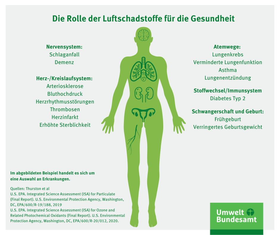 In der Mitte der Abbildung ist der Umriss einer Person dargestellt. Links und rechts von der Person ist eine Auswahl von Erkrankungen aufgelistet, die durch schlechte Luftqualität ausgelöst werden können, wie z. B. Erkrankungen des Herz-Kreislauf-Systems oder der Atemwege.