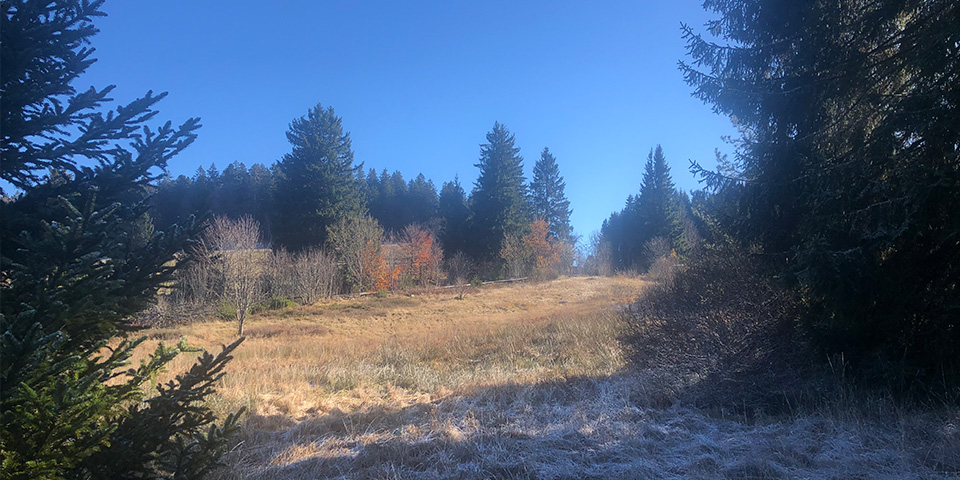 Das Hangmoor Taubenmoos an einem sonnigen Wintertag.