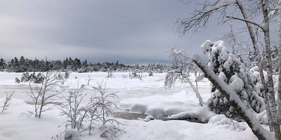 Das Wildseemoor in Schnee gehüllt.