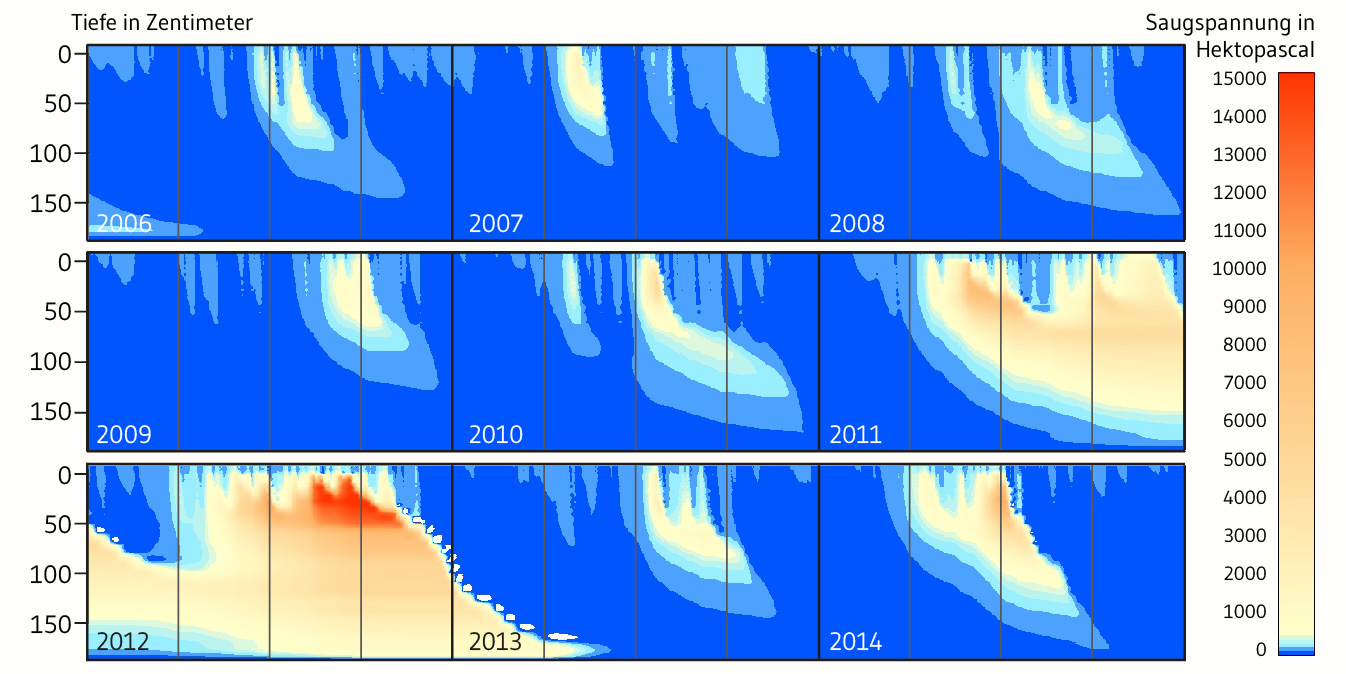 Modellierter Verlauf der Bodenfeuchte unter dem Aspekt der im Boden herrschenden Saugspannung für den Zeitraum 2006 bis 2024 und bis 190 cm Tiefe.