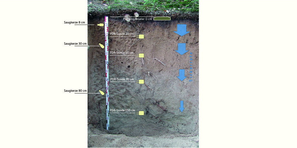 Bodenprofil an einer Intensivmessstelle.