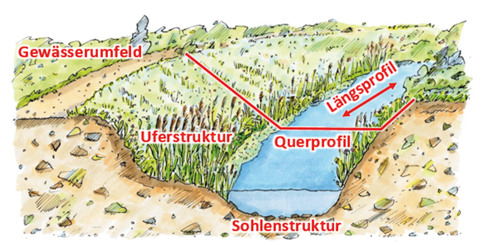 Skizze zu Laufentwicklung.