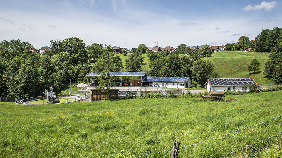 Foto einer kleinen kommunalen Kläranlage mit Photovoltaikanlage in Ortsrandlage in sommerlicher Landschaft.