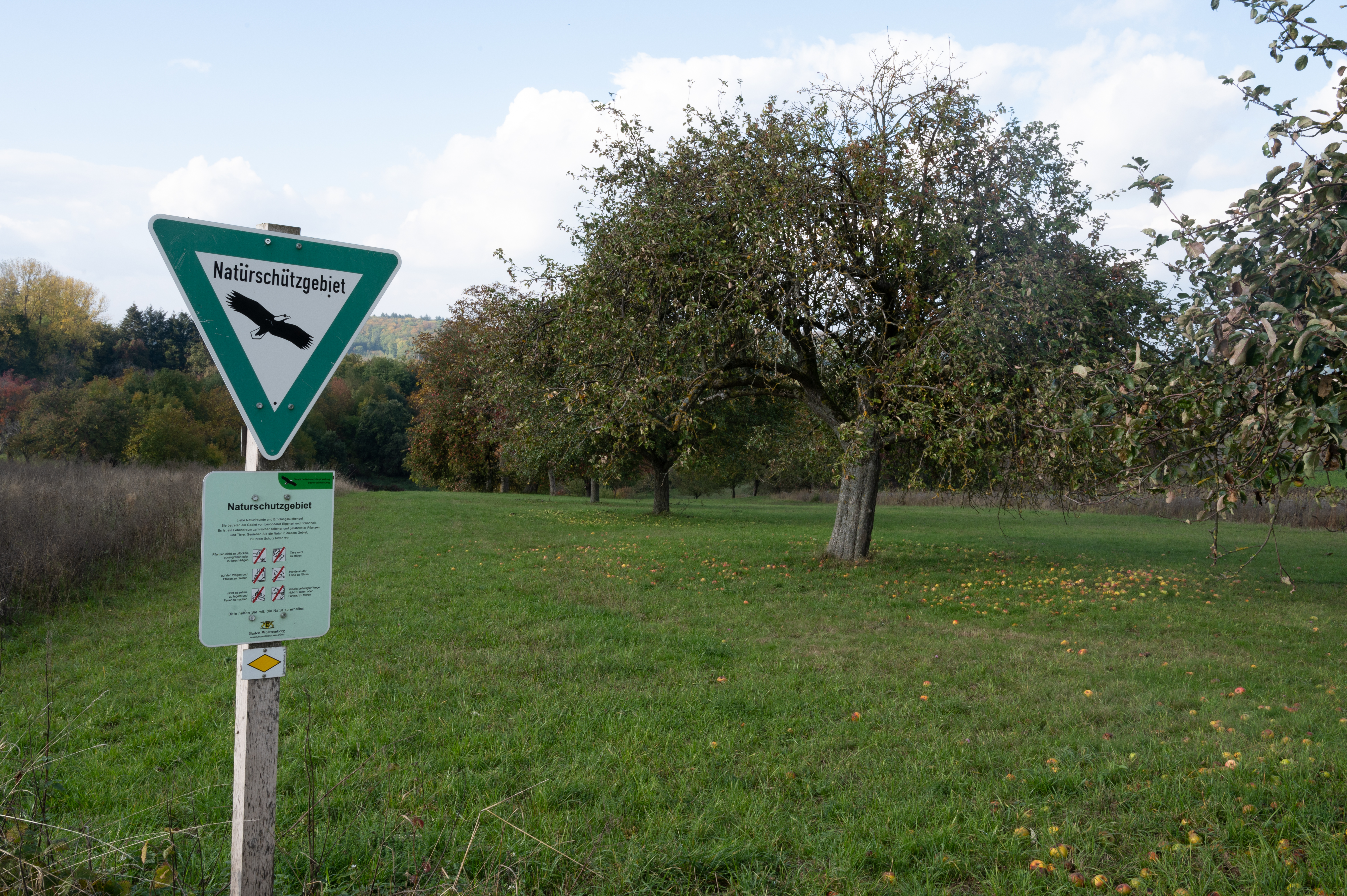 Auf dem Bild sind Apfelbäume hinter einem Naturschutzgebiet-Schild zu sehen