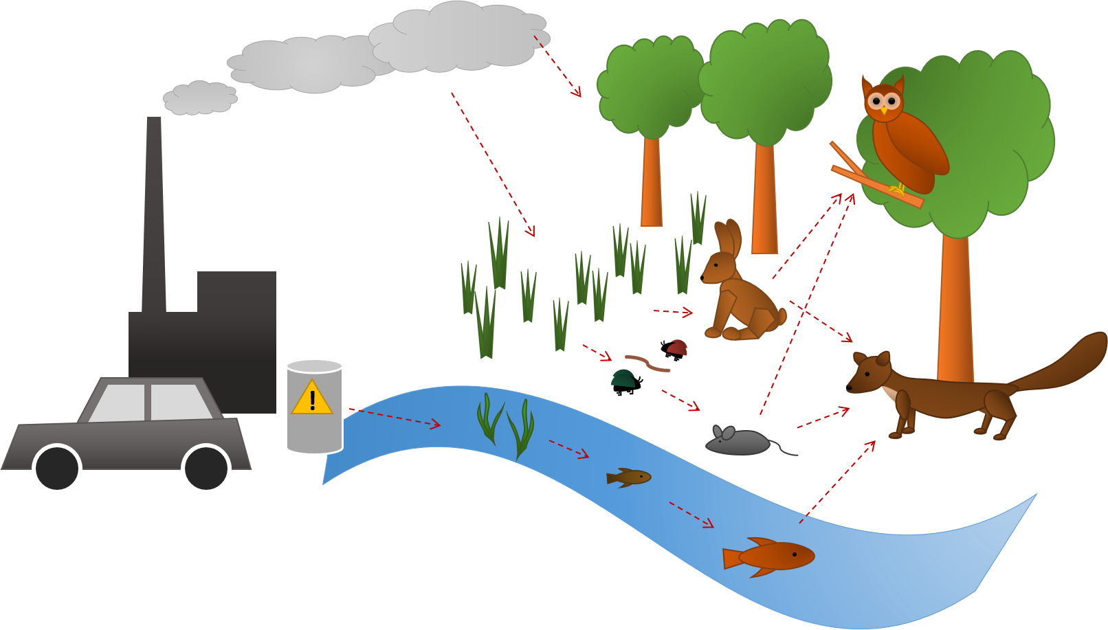 Abbildung zeigt den Eintrag von Schadstoffen aus beispielsweise Industrie und Verkehr in eine terrestrische Nahrungskette. Dabei gelangen die Stoffe zunächst in Wasser, Boden und Pflanzen, werden dann von Pflanzenfressern aufgenommen und gelangen über diese weiter in die Fleischfresser am Ende der Nahrungskette. 