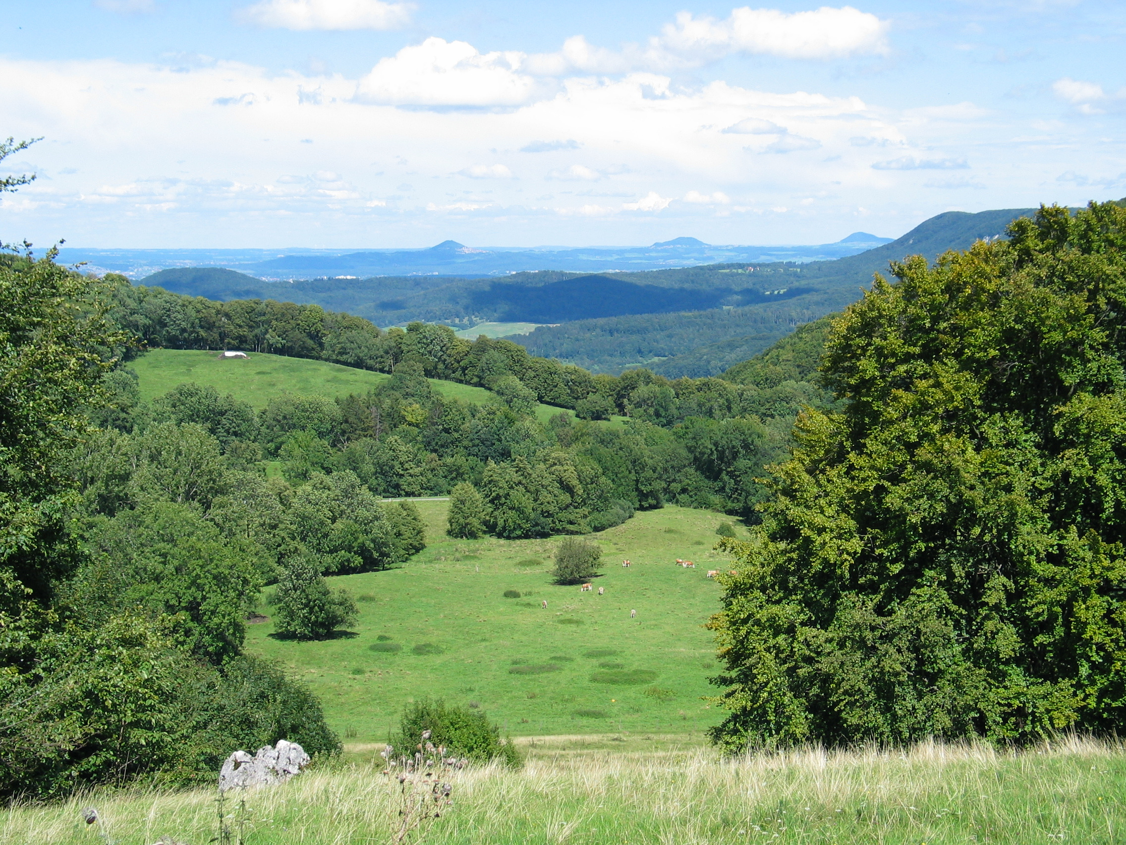 Vielfältige hügelige Landschaft mit beweideten Wiesen durchzogen von Feldgehölzen und Wäldern.