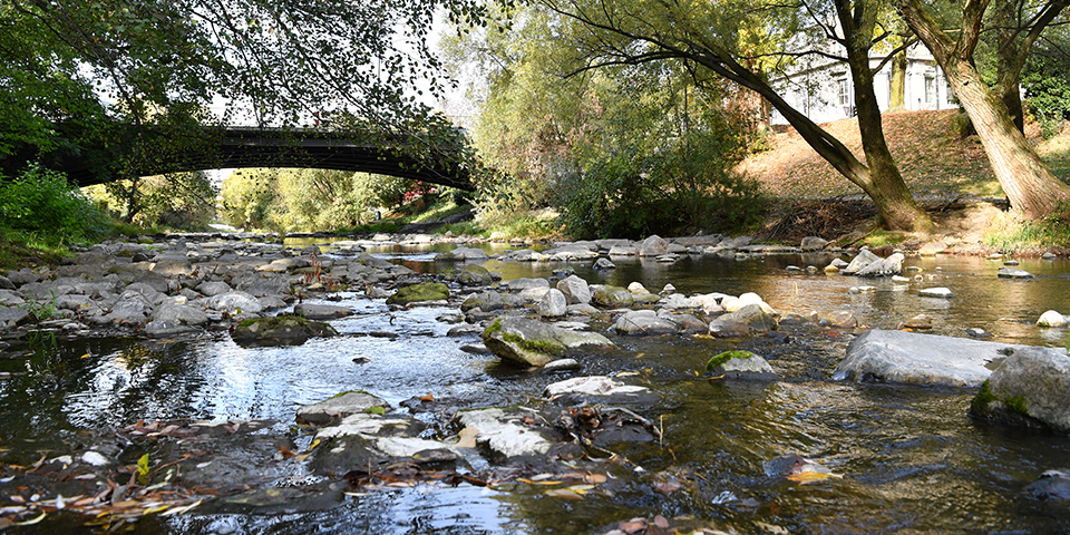 Bild des Flüsschens Alb mit Ufer und Fußgängerbrücke.