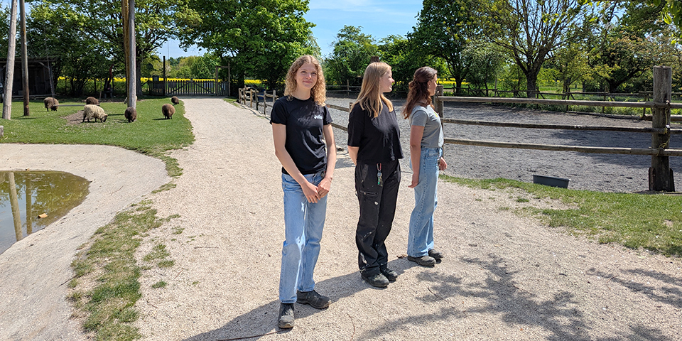Eindrücke vom FÖJ-Einsatzstellen-Besuch. Eindrücke vom FÖJ-Einsatzstellen-Besuch.
